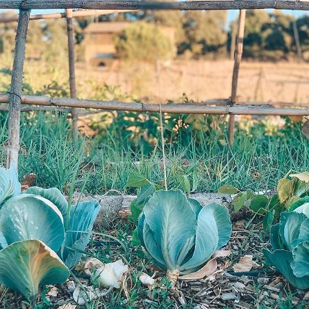 Visit Pachamama Community Διαμέρισμα Alcácer do Sal Εξωτερικό φωτογραφία