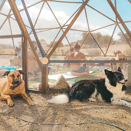 Visit Pachamama Community Διαμέρισμα Alcácer do Sal Εξωτερικό φωτογραφία