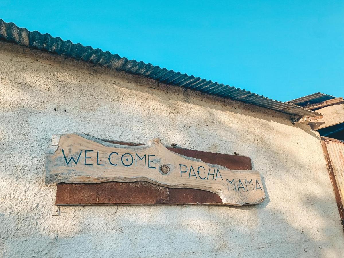 Visit Pachamama Community Διαμέρισμα Alcácer do Sal Εξωτερικό φωτογραφία