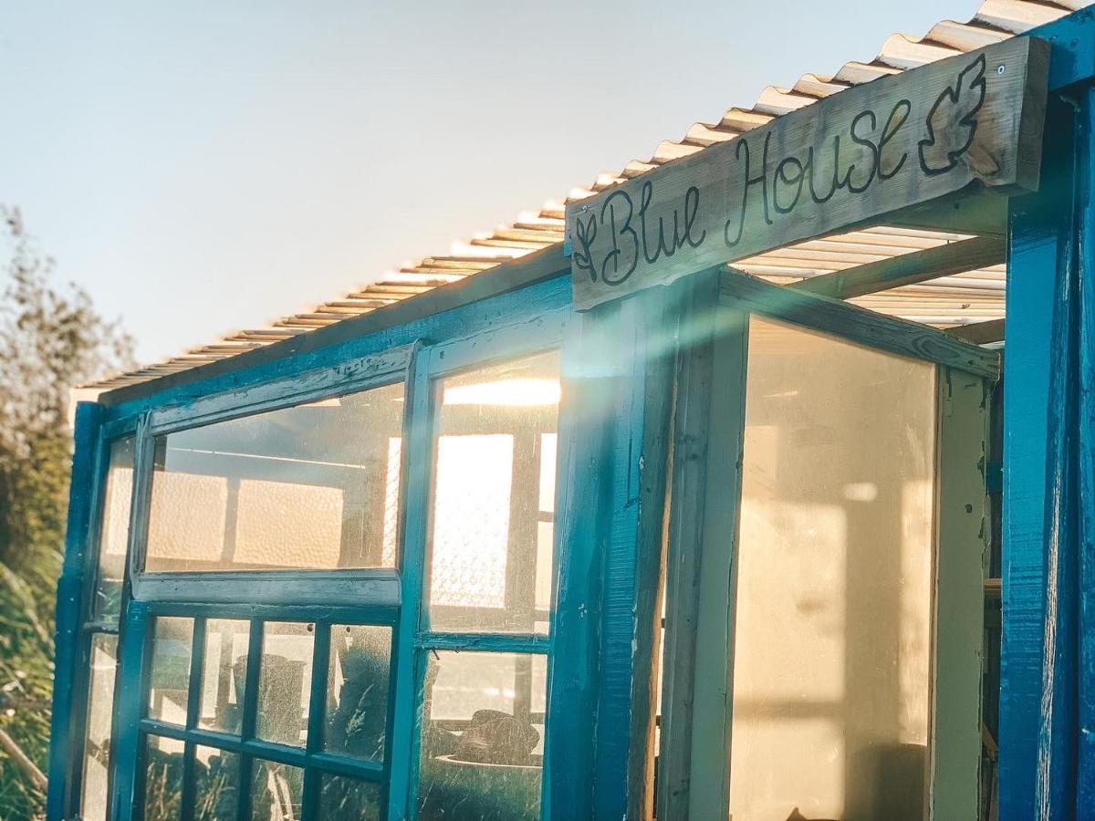 Visit Pachamama Community Διαμέρισμα Alcácer do Sal Εξωτερικό φωτογραφία