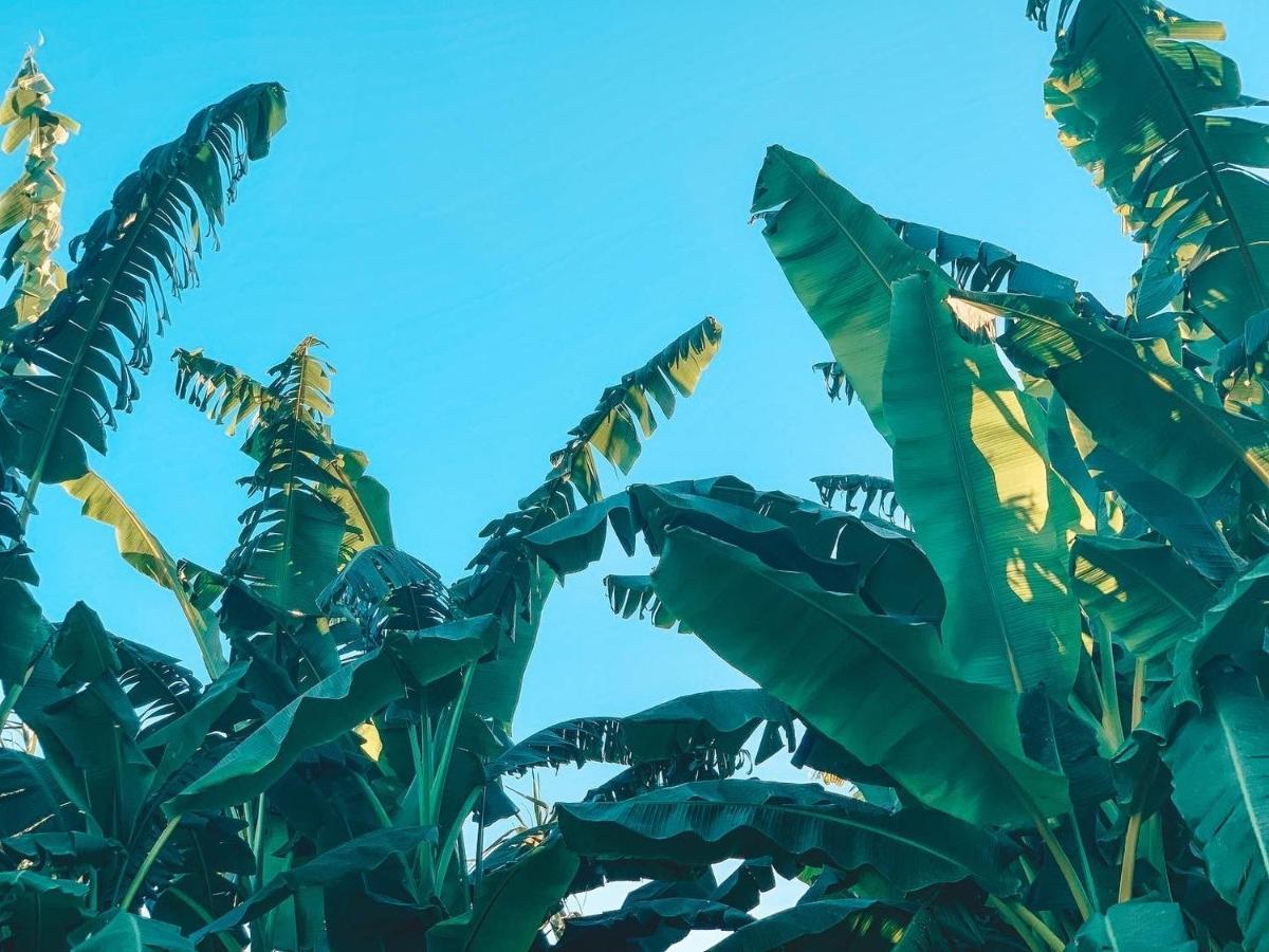 Visit Pachamama Community Διαμέρισμα Alcácer do Sal Εξωτερικό φωτογραφία