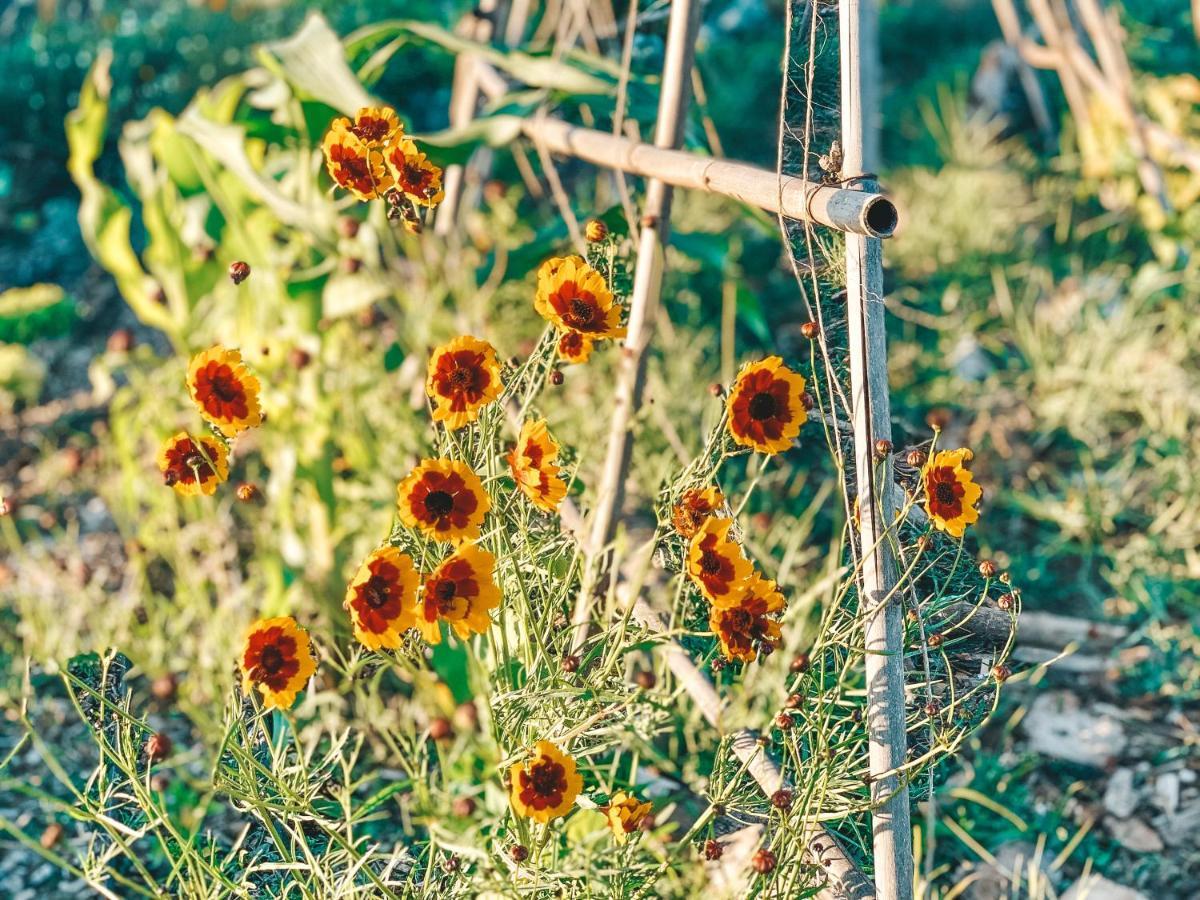 Visit Pachamama Community Διαμέρισμα Alcácer do Sal Εξωτερικό φωτογραφία